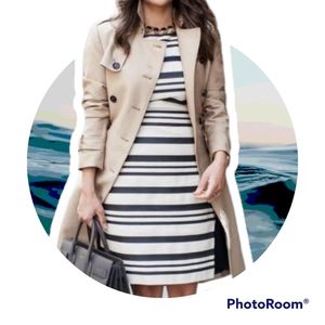 J.Crew Suiting Striped Dress